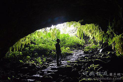 探索冷知识,尽在你真的会正确给奶瓶消毒吗?这3种方式很多人做错,你用了哪种?冷知识分享平台